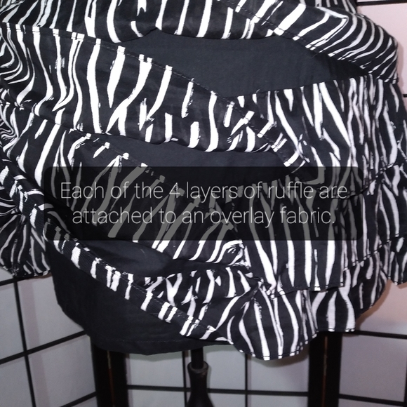 27A. Ann Taylor LOFT Ruffled Cotton Skirt - Picture 6 of 14